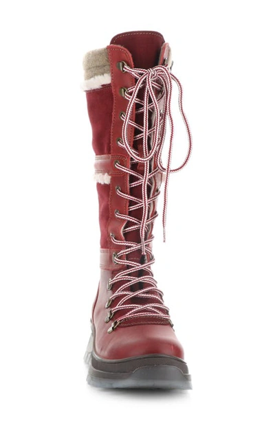 Shop Bos. & Co. Daws Waterproof Winter Boot In Red/ Sangria/ Beige Saddle