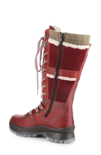 Shop Bos. & Co. Daws Waterproof Winter Boot In Red/ Sangria/ Beige Saddle
