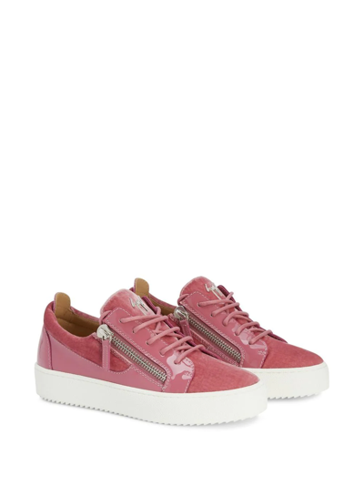 Shop Giuseppe Zanotti Gail Velvet Low-top Sneakers In Pink