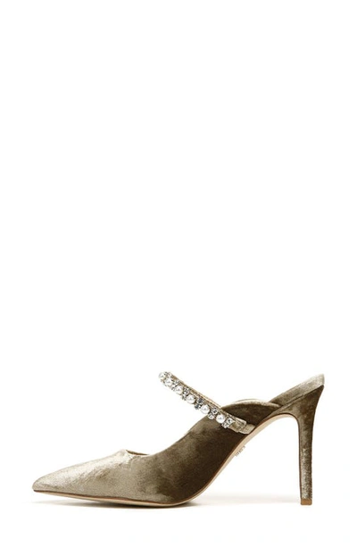 Sam Edelman Hyland Pointed Toe Mule In Mushroom
