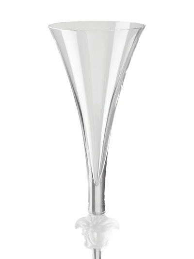 Shop Versace Medusa Lumiere Champagne Flute In Nude