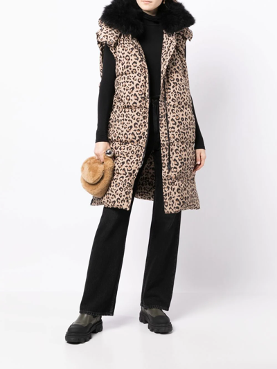 Shop Yves Salomon Leopard-print Sleeveless Coat In Brown