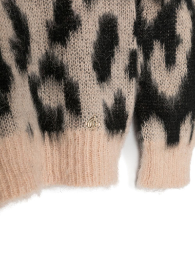 Miss Blumarine Leopard-print Crew-neck Jumper In Pink