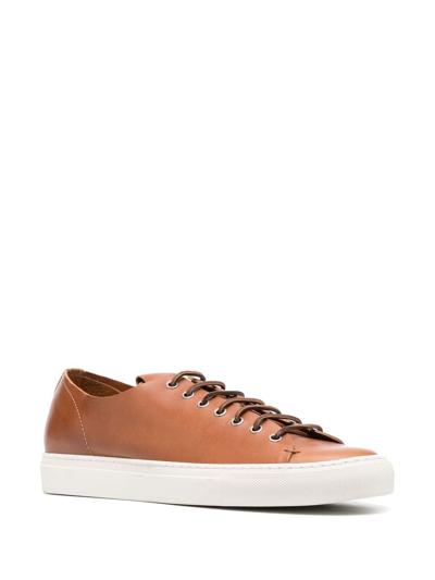 Shop Buttero Low-top Leather Sneakers In Brown