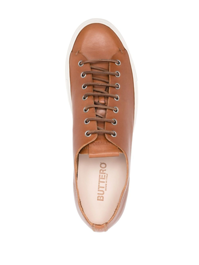 Shop Buttero Low-top Leather Sneakers In Brown