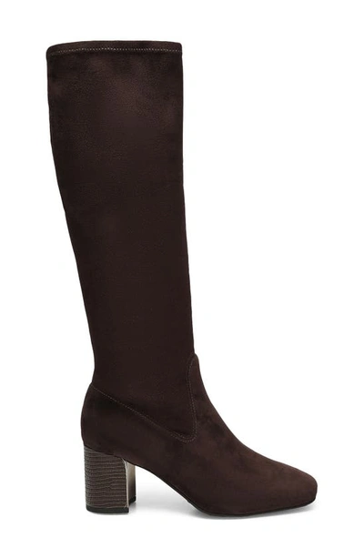 Donald Pliner Cassidy Knee High Boot In Dark Brown