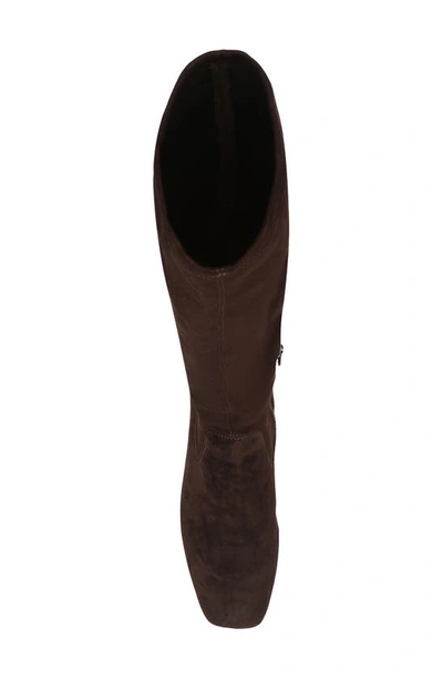 Donald Pliner Cassidy Knee High Boot In Dark Brown