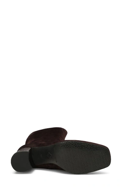Donald Pliner Cassidy Knee High Boot In Dark Brown