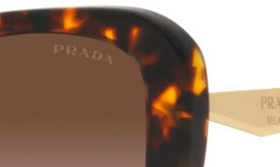Shop Prada 53mm Butterfly Sunglasses In Brown Grad