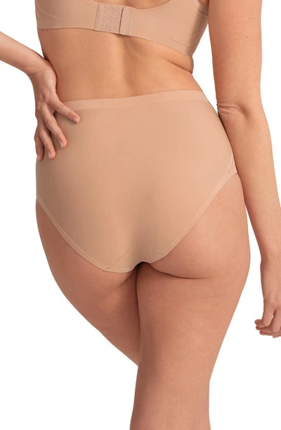 Shop Honeylove Silhouette Shaping Briefs In Sand