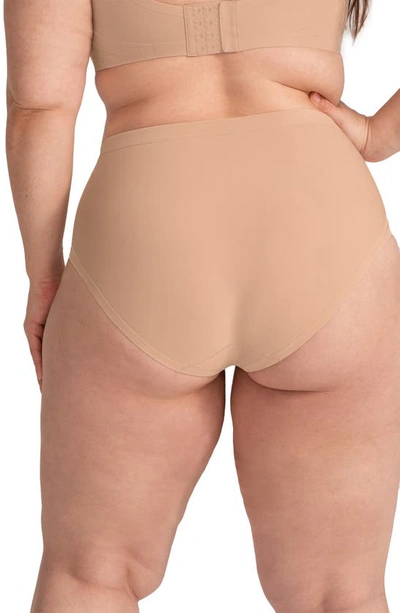 Shop Honeylove Silhouette Shaping Briefs In Sand