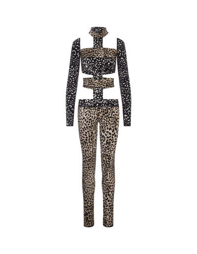 Shop Roberto Cavalli Jumpsuit With Animalier Print In Naturale