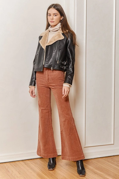 Shop Rolla's East Coast Rusty Rose Corduroy High Rise Flare Pants In Pink