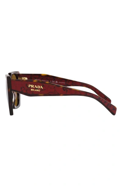 Shop Prada 54mm Polarized Irregular Sunglasses In Tortoise