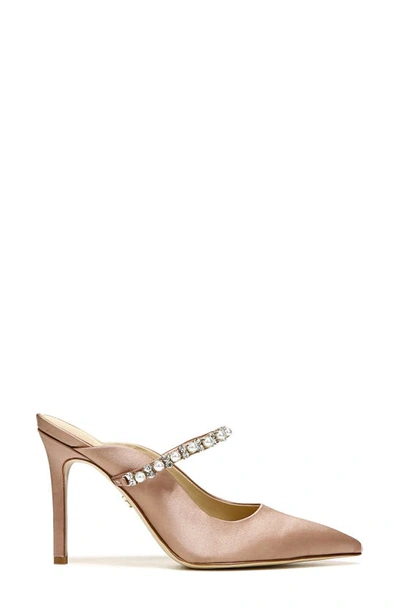 Sam Edelman Hyland Pointed Toe Mule In Praline Suede