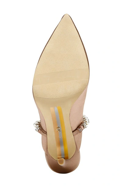 Sam Edelman Hyland Pointed Toe Mule In Praline Suede