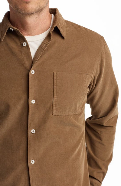 Rowan Nobel Fine Wale Corduroy Button-up Shirt In Umber