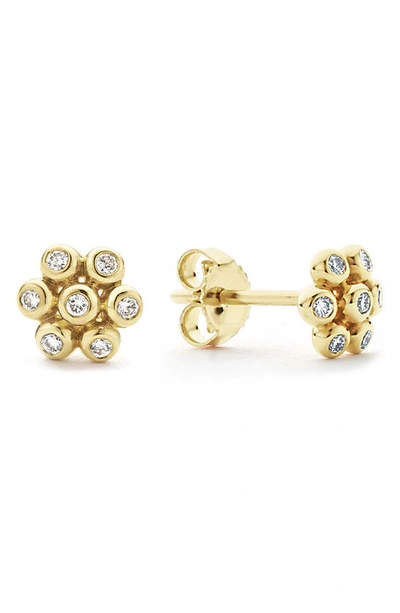 Lagos Ksl Diamond Flower Stud Earrings In Gold Diamond