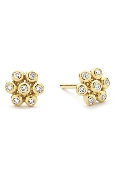 Lagos Ksl Diamond Flower Stud Earrings In Gold Diamond