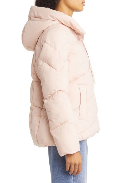 Shop Sam Edelman Hooded Puffer Coat In Blush