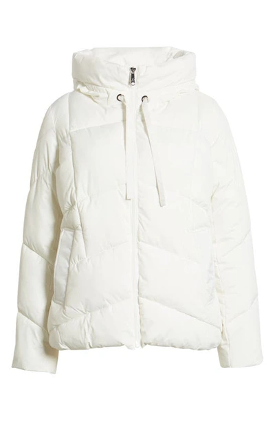 Shop Sam Edelman Hooded Puffer Coat In Egg Shell