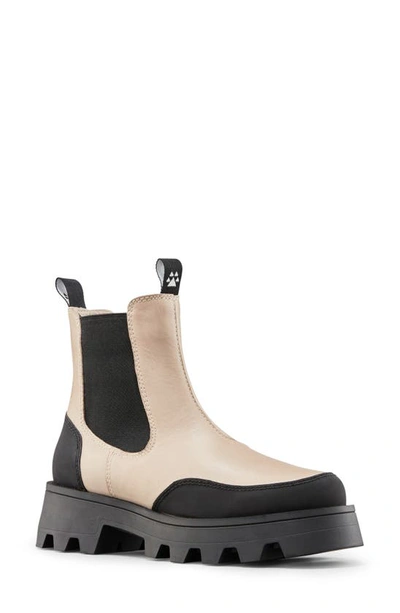 Shop Cougar Shani Waterproof Chelsea Boot In Cream