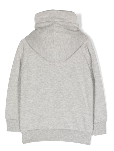 Wauw Capow By Bangbang Jolly Joe Pullover Hoodie In Grau