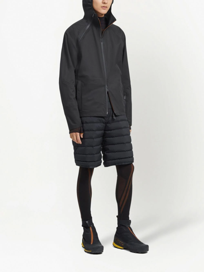 Zegna Down-filled Shorts In Black | ModeSens