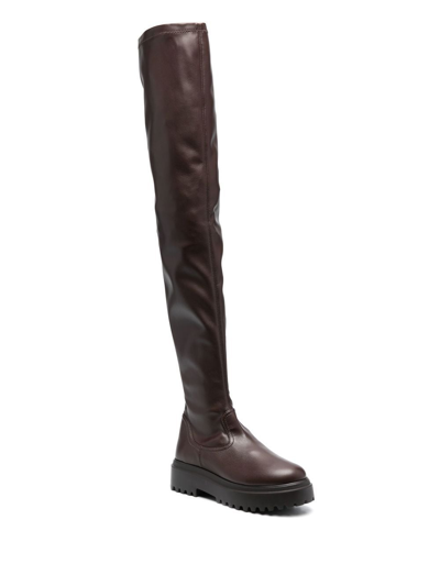 Shop Le Silla Ranger Thigh-high Boot In Braun