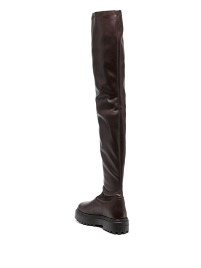 Shop Le Silla Ranger Thigh-high Boot In Braun