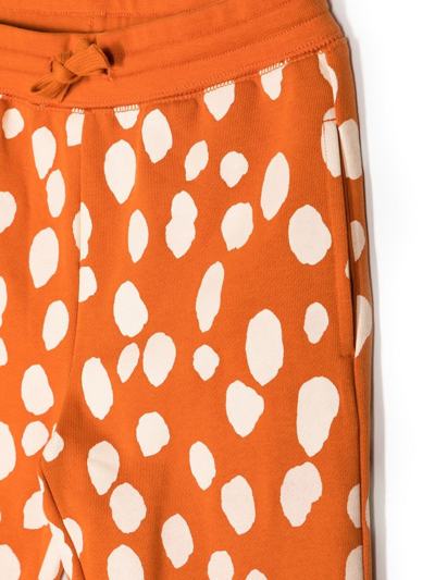 Shop Stella Mccartney All-over Animal-print Trousers In Orange