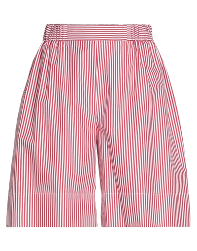 Shop Solotre Woman Shorts & Bermuda Shorts Red Size 8 Cotton