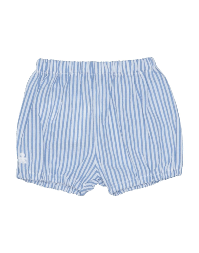 Shop Le Bebé Newborn Boy Shorts & Bermuda Shorts Azure Size 3 Cotton, Elastane In Blue