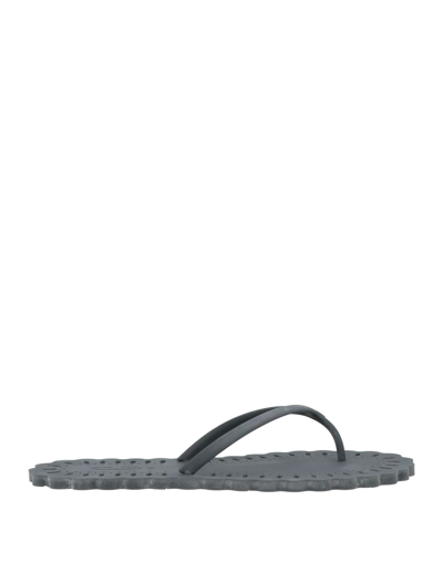 Shop Carlotha Ray Woman Thong Sandal Lead Size 5-6 Rubber In Grey