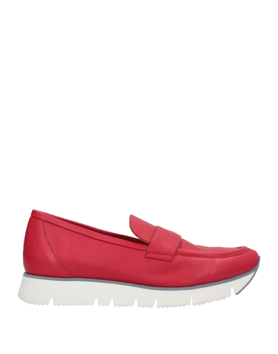 Shop Renascentia Firenze Woman Loafers Red Size 6 Calfskin
