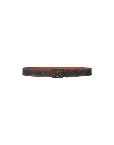 Shop Dsquared2 Man Belt Dark Brown Size 36 Bovine Leather