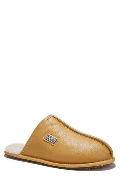 Australia Luxe Collective Genuine Shearling Leather Scuff Slippers In Saddle