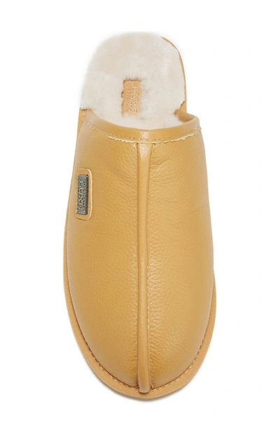 Shop Australia Luxe Collective Genuine Shearling Leather Scuff Slippers In Saddle