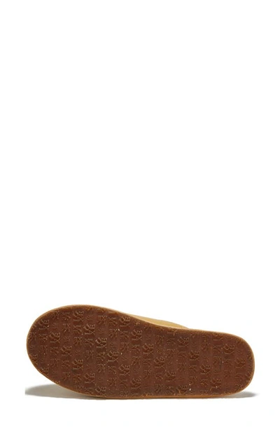 Shop Australia Luxe Collective Genuine Shearling Leather Scuff Slippers In Saddle