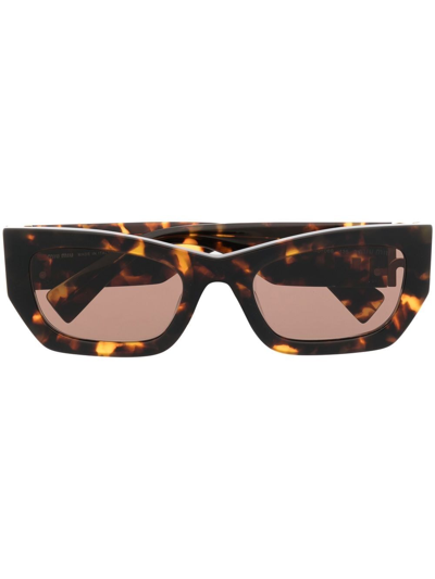 Shop Miu Miu Cat-eye Frame Sunglasses In Braun