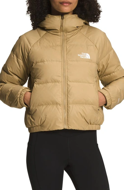 Shop The North Face Hydrenalite Hooded Down Jacket In Antelope Tan