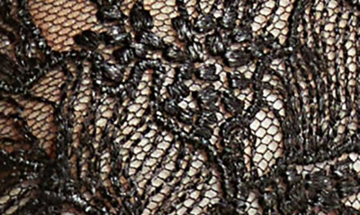 Shop Bluebella Mirabel Embroidered Mesh Underwire Bra In Black