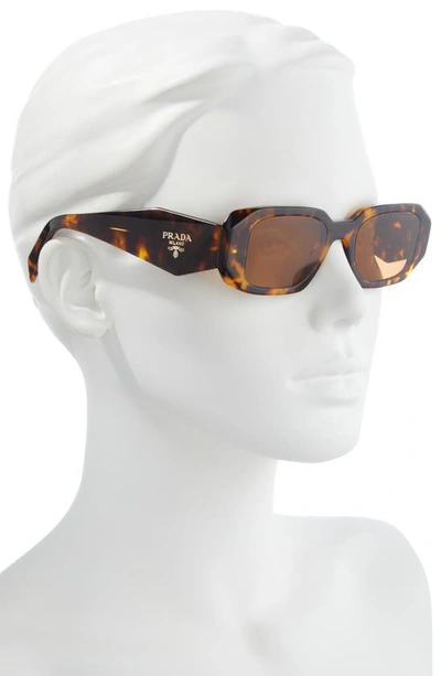 Shop Prada Runway 49mm Rectangular Sunglasses In Tortoise