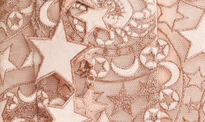 Shop Zimmermann Celestial Zodiac Embroidered Long Sleeve Mesh Minidress In Lipstick