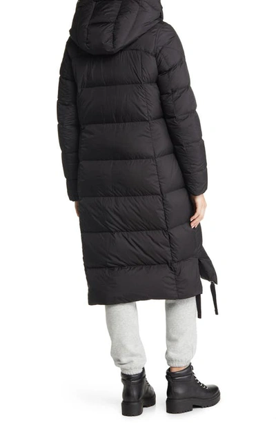 Shop Parajumpers Panda Hooded Down Puffer Parka In Black