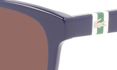 Lacoste 52mm Modified Rectangular Sunglasses In Blue