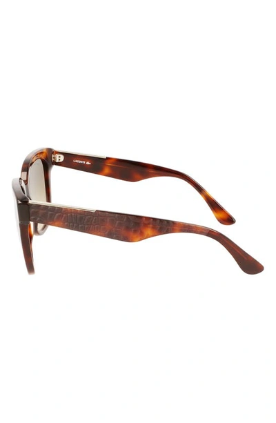 Shop Lacoste 55mm Gradient Rectangular Sunglasses In Havana