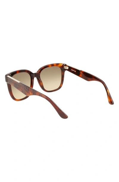 Shop Lacoste 55mm Gradient Rectangular Sunglasses In Havana