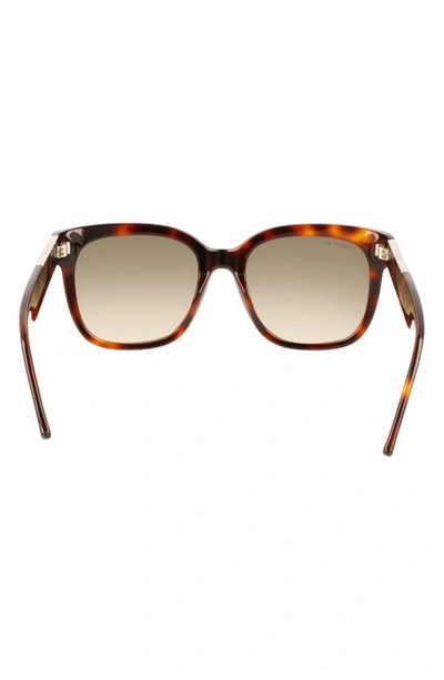 Shop Lacoste 55mm Gradient Rectangular Sunglasses In Havana