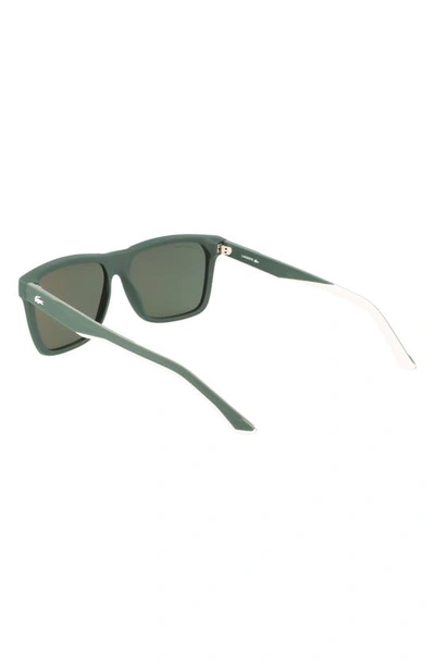 Shop Lacoste 57mm Rectangular Sunglasses In Matte Green